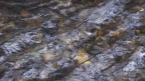 Clear Shallow Water Flowing Over Pebbles 動画素材 79475705