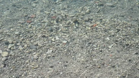 Clear shallow water flowing over a rocky pebble seabed in natural sunlight Stock Footage 335813855