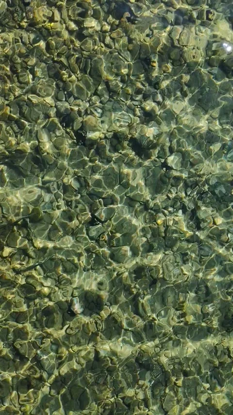 Clear shallow water over pebble stones with reflections, rippling green texture 動画素材 332482911