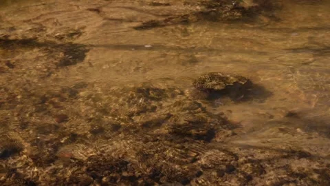 Clear Shallow Water Over Rocks Stock Footage 334673957