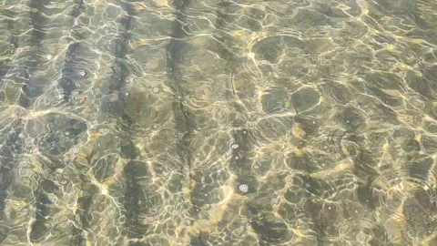 Clear Shallow Water Ripples with Sunlight Reflection and Caustic Light Effect Stock Footage 346324173