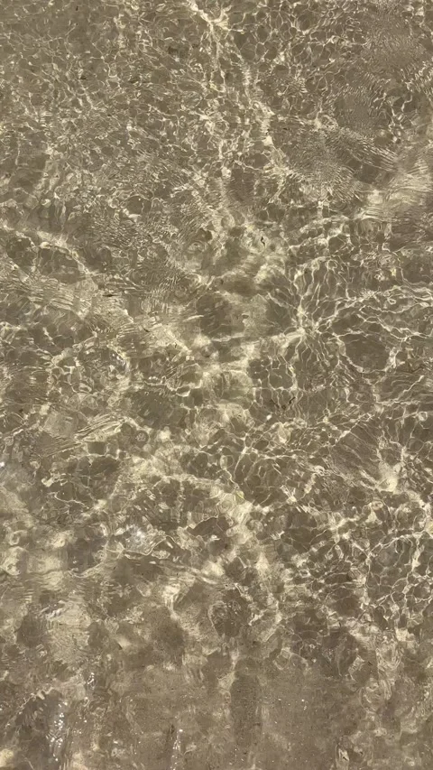 Clear Shallow Water Rippling Over Sandy Seabed, Barbados Caribbean Stock Footage 337972645