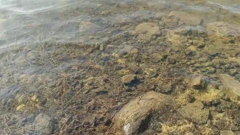 Clear shallow water rippling over submerged dry branches Vidéo 345480719