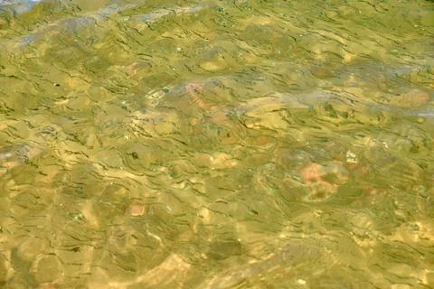 Clear shallow water surface with light reflections over rocky bed Stock Photos