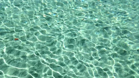 Clear, Shallow Waters Reflecting Sunlight Patterns on the Sandy Seabed. Stock Footage 284103400