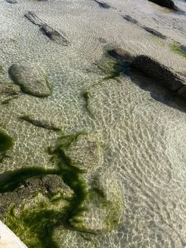 Clear Shallows Stock Photos