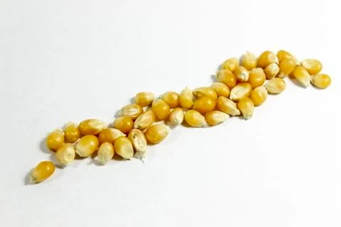 Clear shot of diagonal positioned corn seeds on white background Stock Photos
