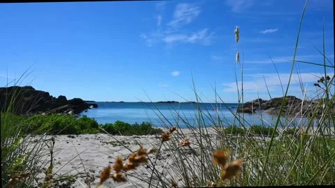 Clear sky and sandy beach with tall grass on the shore in Norway on a sunny.. Stock Footage 340196327
