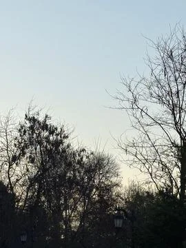 Clear sky at dawn Stock Photos