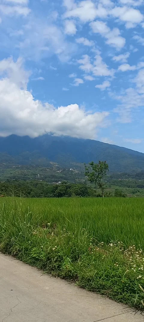 Clear sky Stock Footage 169493862