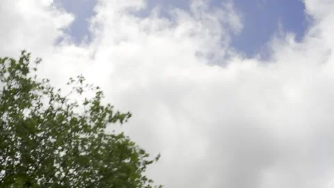 Clear sky from moving bus Stock Footage 133362105