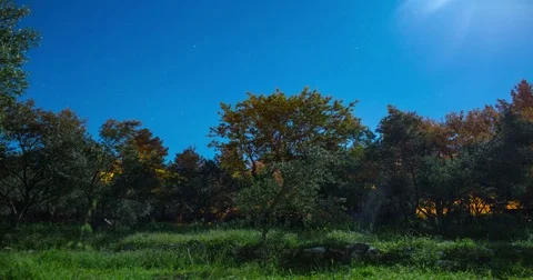 Clear Sky Night Timelapse in Nature Stock Footage 75496944