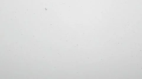 Clear sky snow falling winter flakes wide angle 4K Stock Footage 154003438