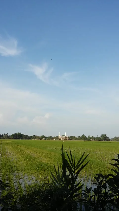 The clear sky is so beautiful Vidéo 219851634