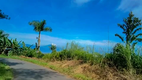 A CLEAR SKY IN SUMMER Stock Footage 225598908