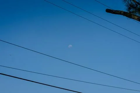 Clear sky with thin wires and tree branch Stock Photos