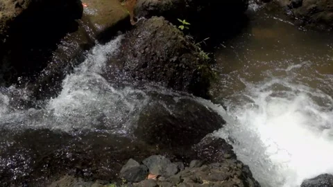 A clear small river flowing in the mountains of tropical rainforest Video stock 319877966