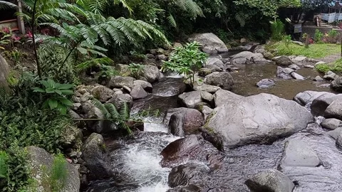 Clear small river water Stock Footage 211258402