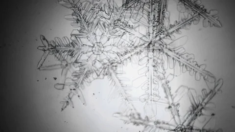 Clear snowy blurry abstraction Stock Footage 86788242