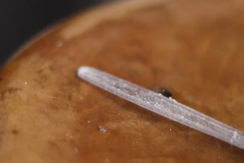 Clear spoon   Foto stock