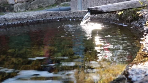Clear spring water in Buddhist temple. Stock Footage 146773860