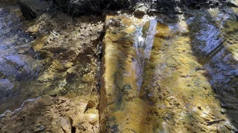 Clear spring water, Finland Stock Footage 239325027
