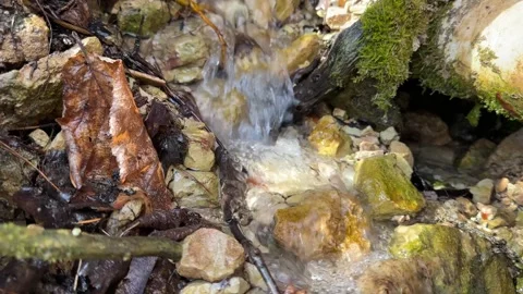 Clear Spring Water Flowing from Rock Cliff Natural Source Video stock 333818103