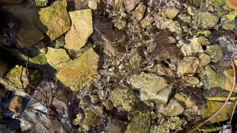 Clear Spring Water Flowing from Rock Cliff Natural Source Video stock 333818111