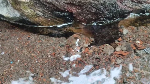 Clear spring water flows gently Stock Footage 308730589