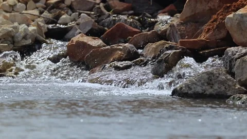 Clear spring water flows over rocks and falls into a stream on a sunny day Stock Footage 170007506