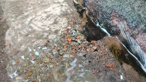 Clear spring water Video stock 308730529