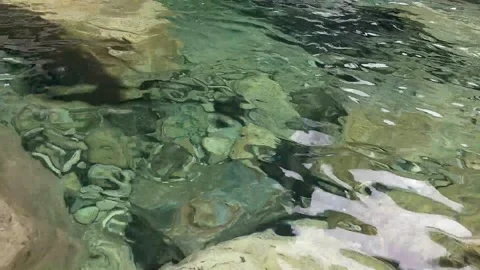 Clear spring water in the mountains Stock Footage 157149529