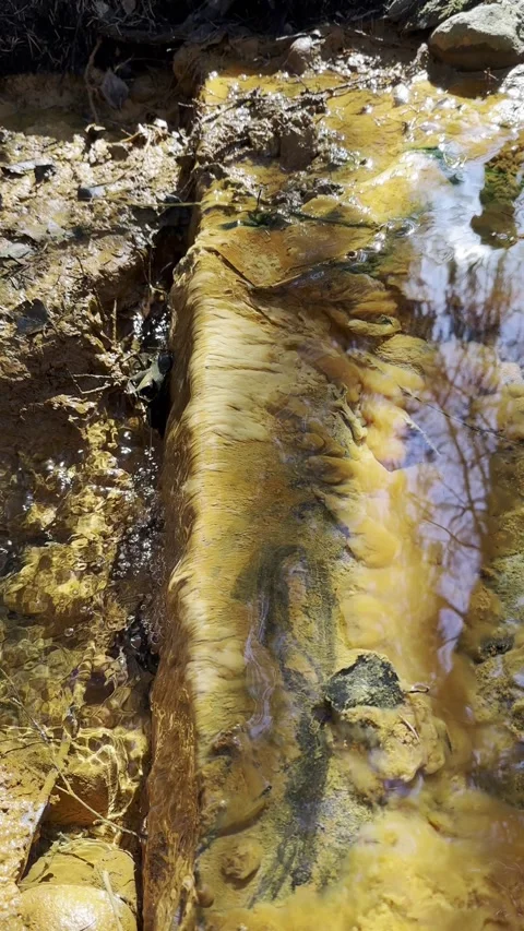 Clear spring water, vertical, Finland Stock Footage 239324660
