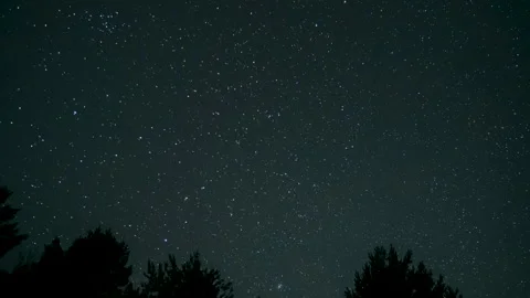 Clear starry sky above forest silhouettes night time lapse scene 库存影片 334185838