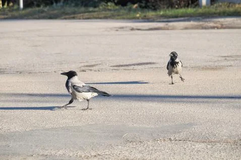 Clear step Stock Photos