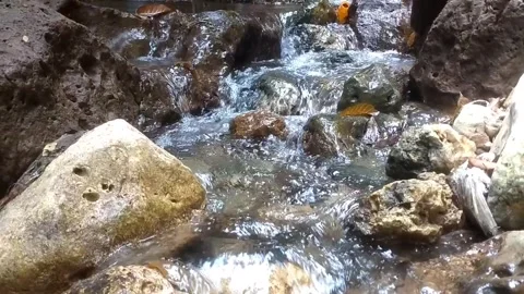 Clear Stream Among the Rocks Stock Footage 332916877