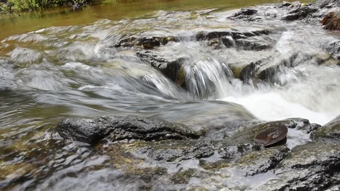 Clear stream and plunging force Stock Footage 129694040