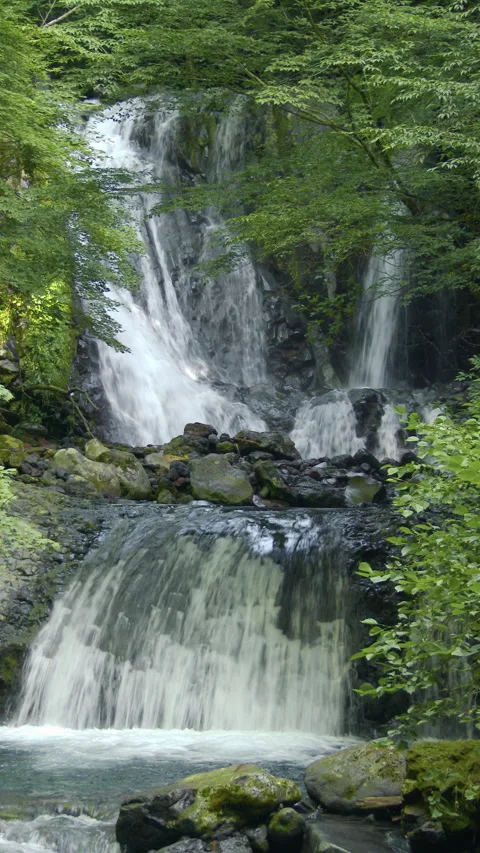 Clear Stream Below Fresh Green Waterfall Vertical Video Vidéo 346193110