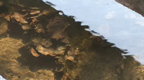 Clear stream below the water mill Stock Footage 35955865