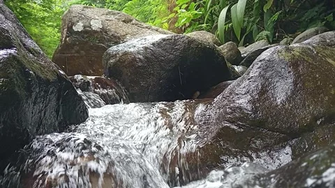 Clear Stream Flow Over Mossy Rocks Forest Close Up Natural Texture Stock Footage 330582734