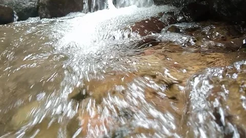 Clear Stream Flow Over Rocky Riverbed Natural Water Scene Stock Footage 330581881
