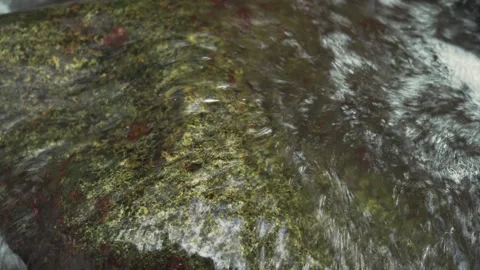 Clear Stream Flowing Across Tropical Stone Surface Loop Видео 334700030