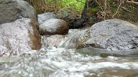 Clear Stream Flowing Between Large Rocks | Tropical Forest River Scene Stock Footage 330546768