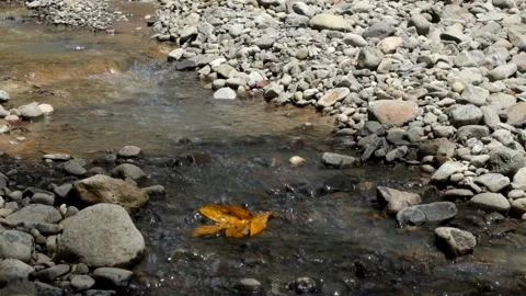 A clear stream flowing between pebbles Video stock 336878304
