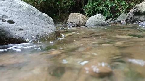Clear Stream Flowing Over Light Rocks in Tropical Forest Setting Stock Footage 330582293