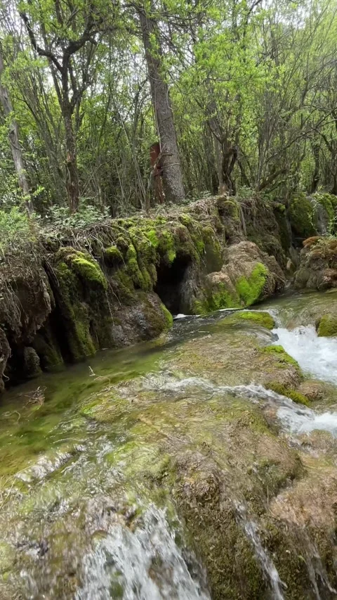 Clear Stream Flowing Over Mossy Rocks and Cascades in Jiuzhaigou Valley, Sichuan Видео 336933938