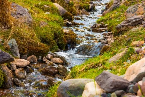 Clear stream flowing over mossy rocks. Stock Photos