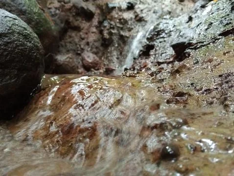 Clear Stream Flowing Over Mossy Rocks in Forest Stock Photos