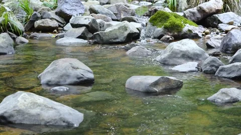 Clear stream flowing over natural rocks in a forest Stock Footage 311320122