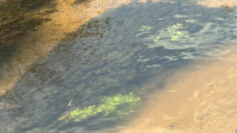 Clear stream flowing over river bed Video stock 332670473